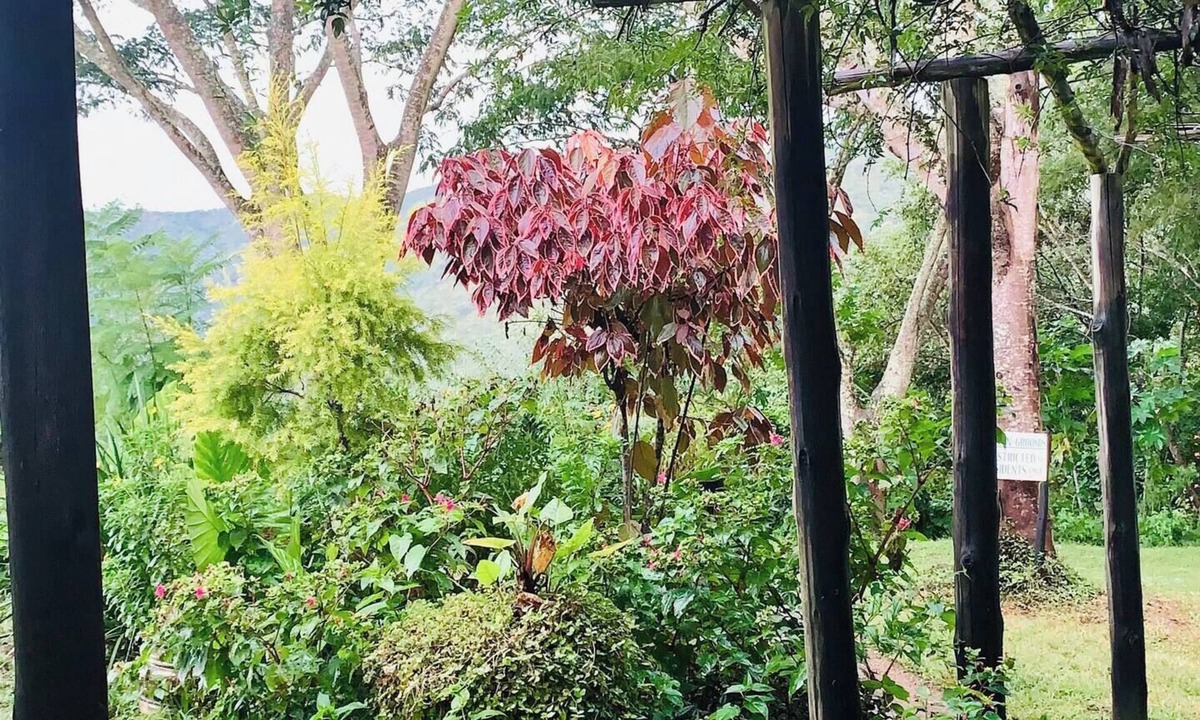 Mutare Bed & Breakfast | A charming Bed & Breakfast