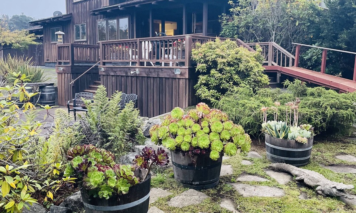 Fort Bragg House | A coastal lodge for all seasons!