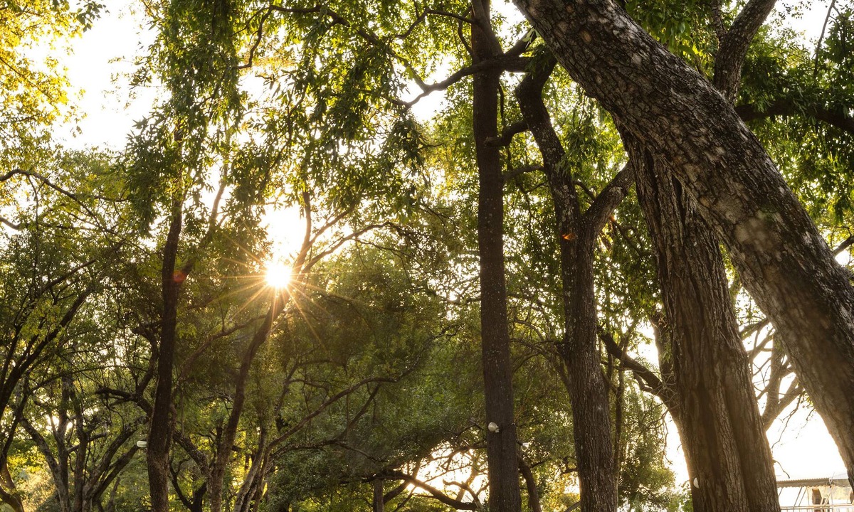 Victoria Falls Hotel | A'Zambezi River Lodge