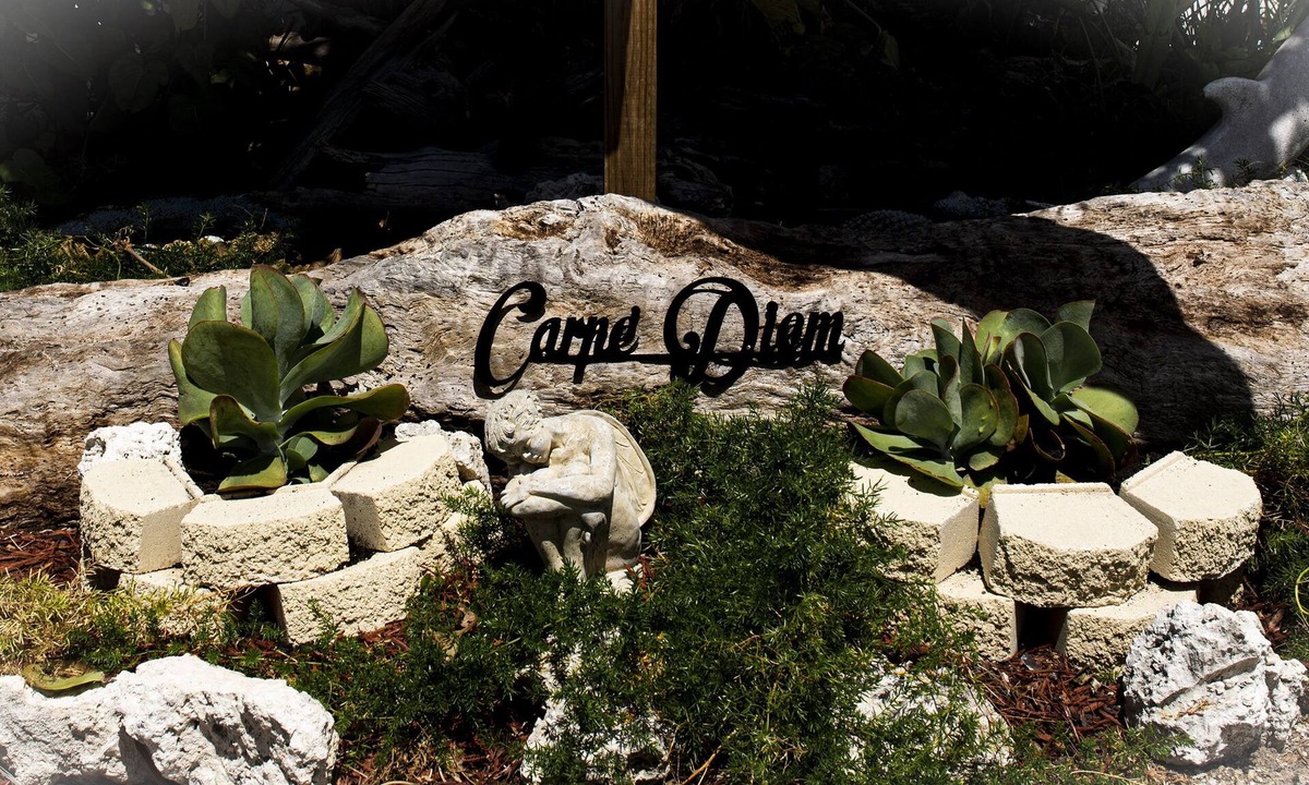 Marathon Cottage | Carpe' Diem Heart of the Fl. Keys Specials