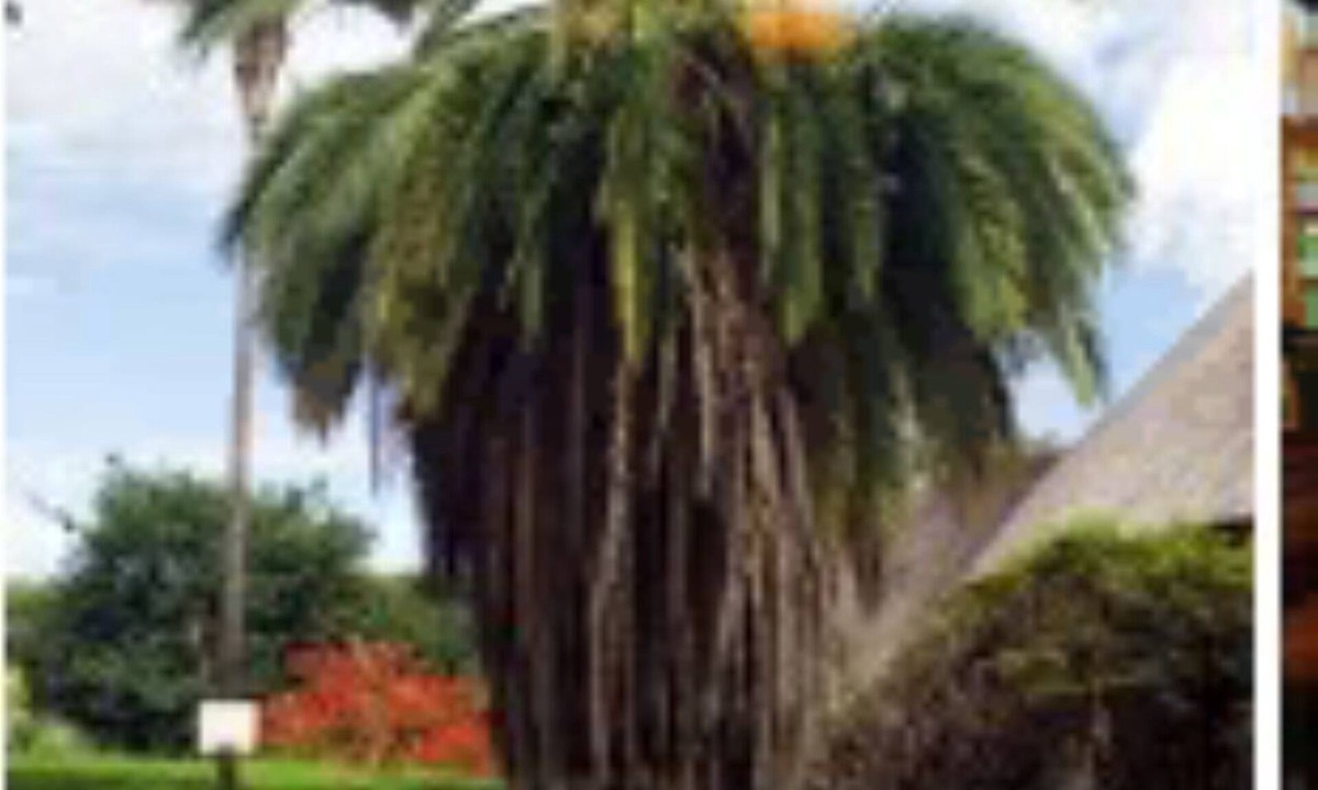 Harare East Cabin | Chipembere One bedroom one bathroom