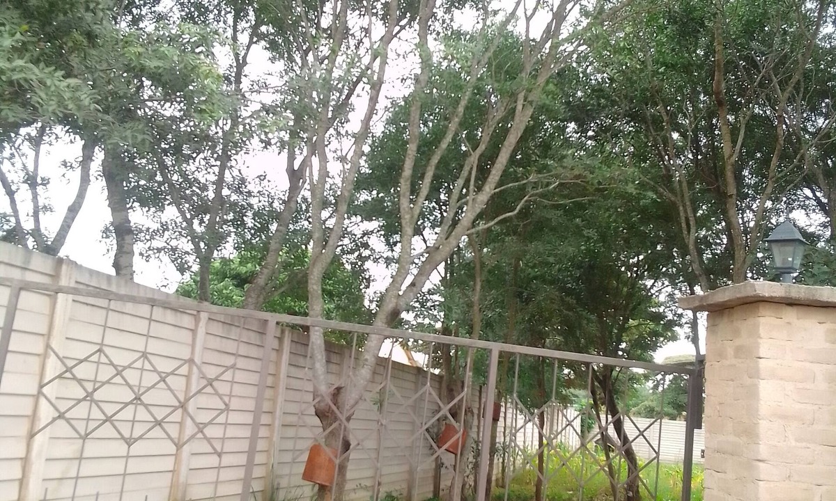 Chitungwiza Bed & Breakfast | Garden Guest House Bed & Bre Chitungwiza