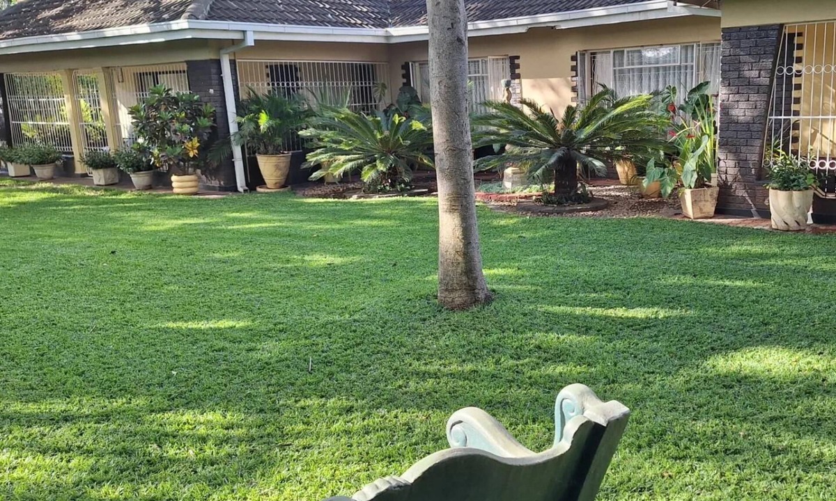 Harare House | Guesthouse with green garden and pool - 2102