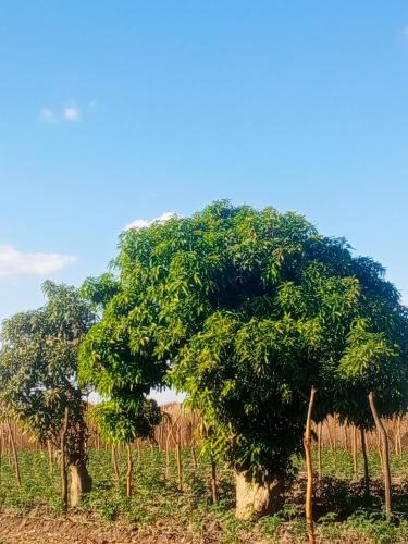 Kabwe House | Hope Lodge Kabwe