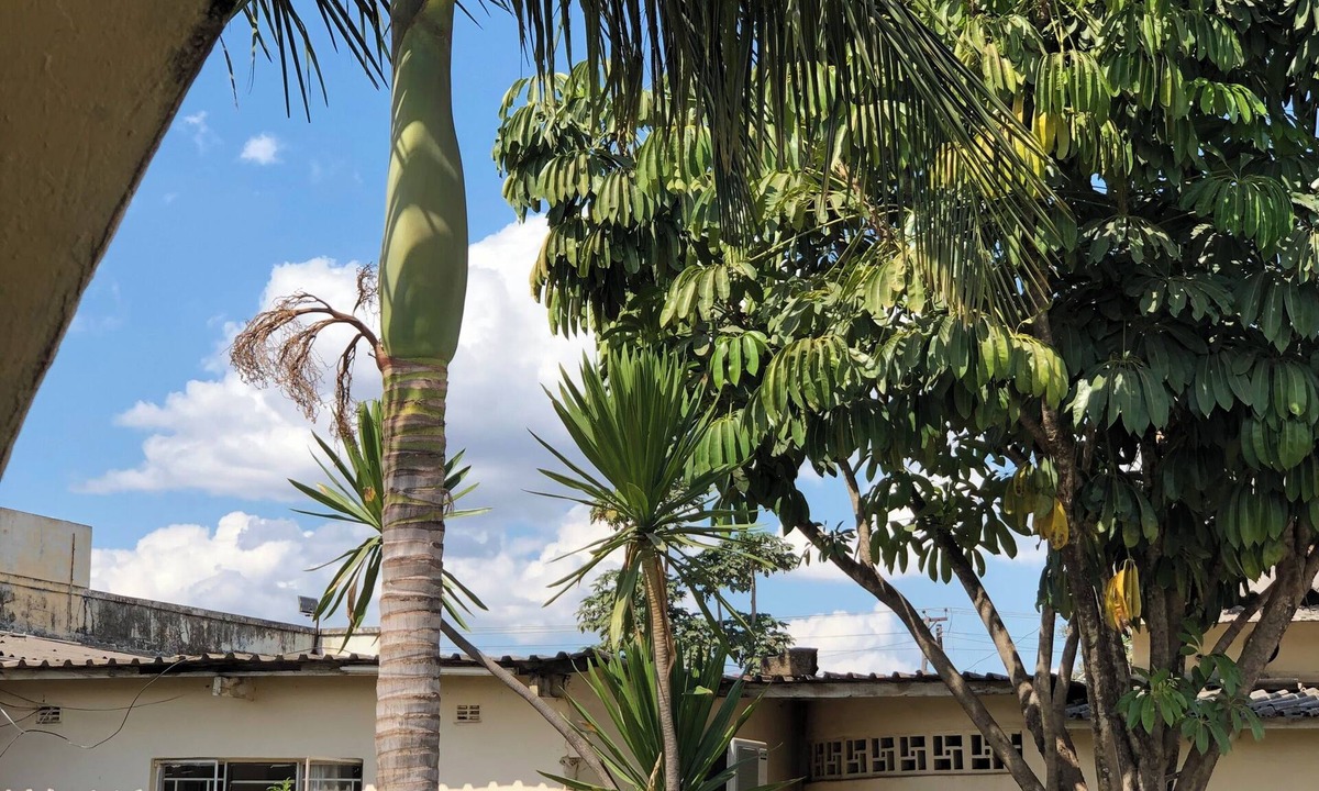 Ndola House | Kafubu Inn Guest House