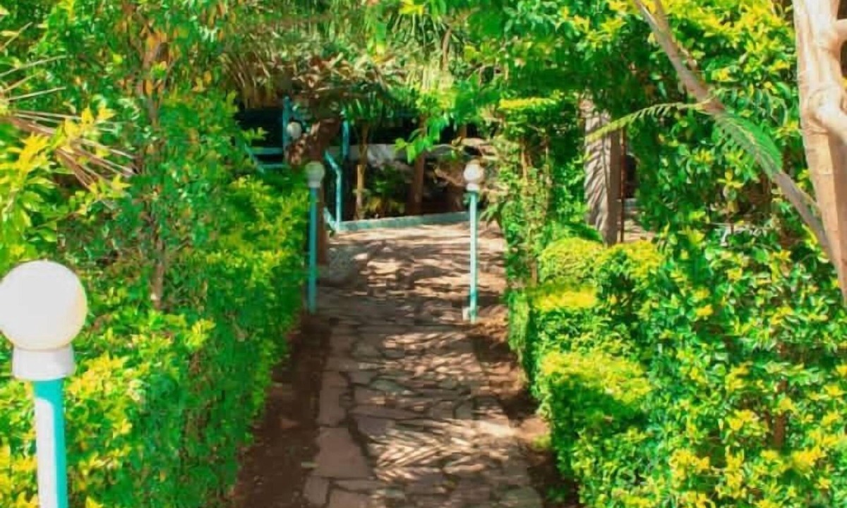 Kariba House | Luna Lodge