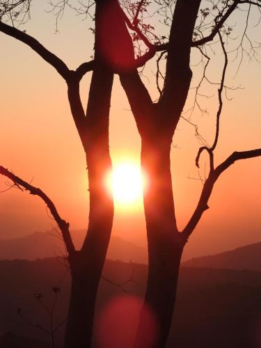 Mutare Cabin | Madrugada