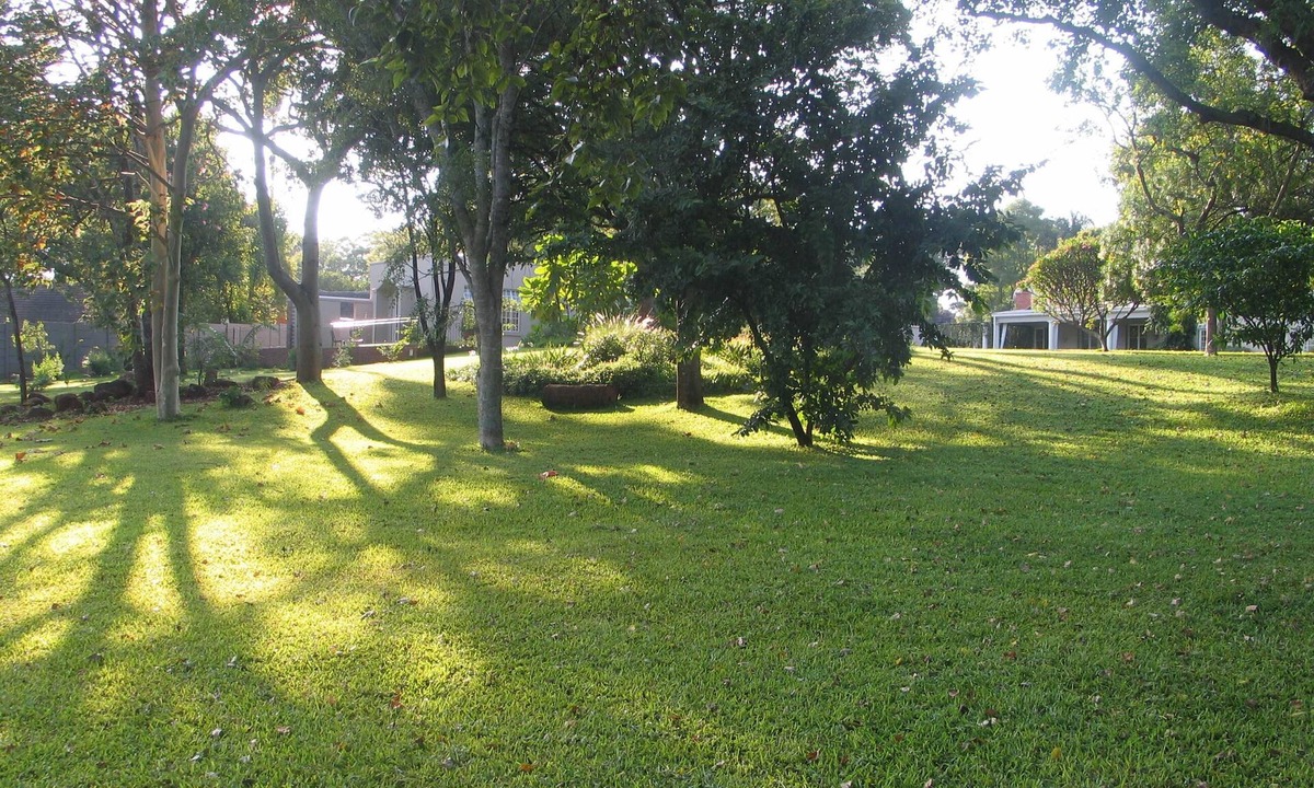 Harare East Apartment | Modern studio set in an expansive garden - 2253