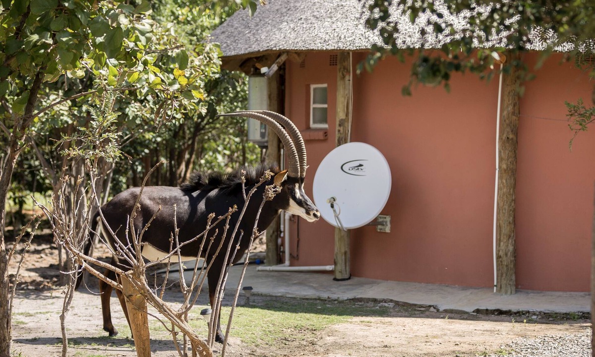 Chingola Hotel | Mokorro Game Ranch and Lodge