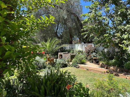 Bulawayo House | Peanut Cottage Bulawayo