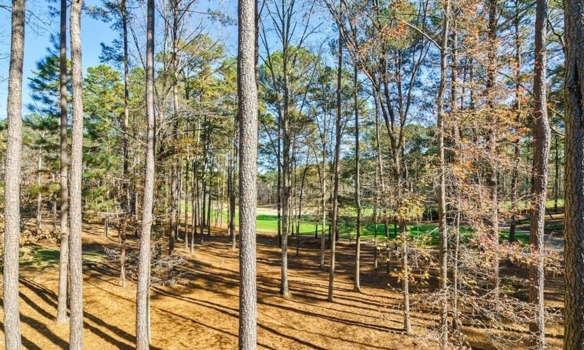 Greensboro Other | Reynolds Lake Oconee Golf Home for Masters Week Sleeps 19 Fire Pit Game Rm