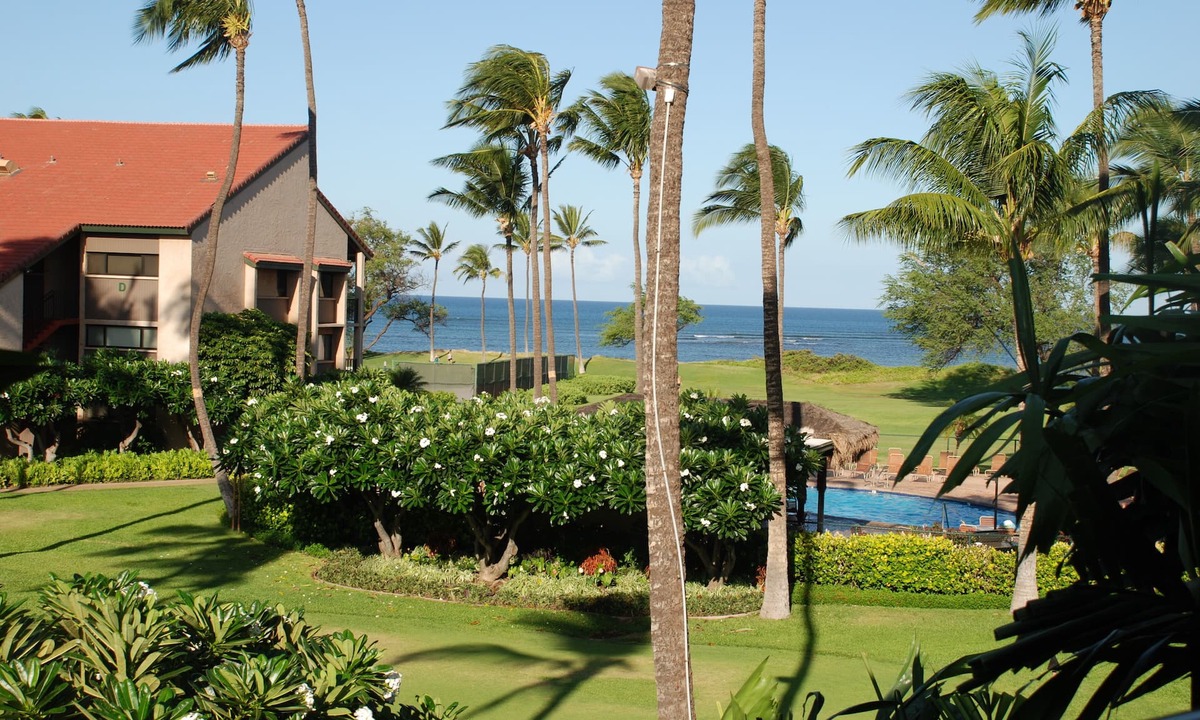 Kihei Condo | Summer Sale,Oceanfront/Ocean view condo in S. Maui,Free A/C, Wifi,Parking, Pool!