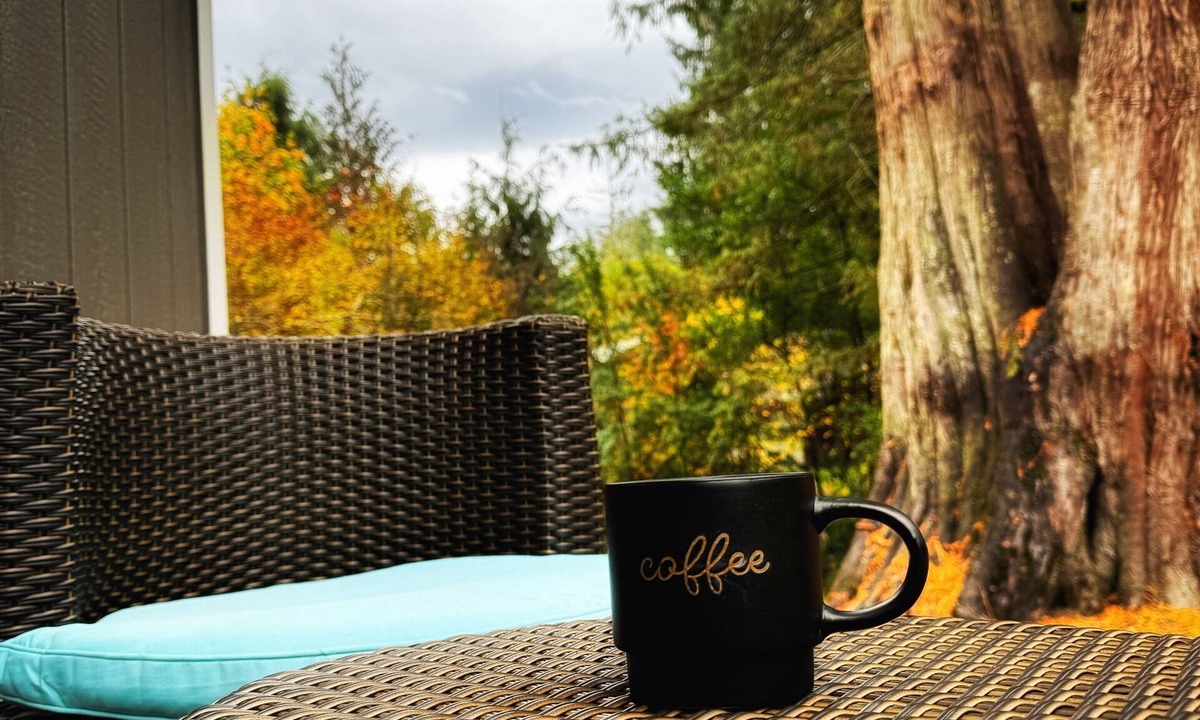 Lime Kiln Cabin | Sun Rose Cabin Welcomes You to Dog-Friendly Luxury