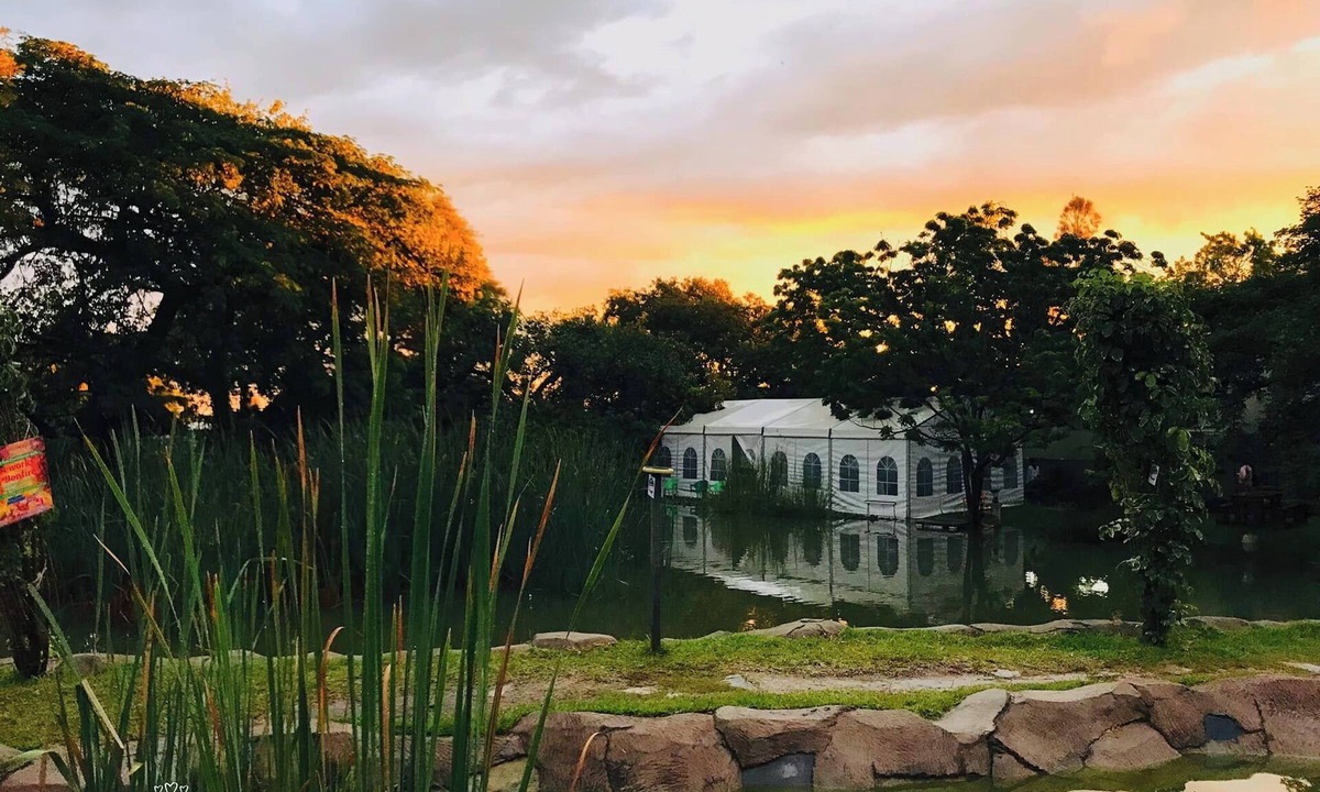 Lusaka Bed & Breakfast | T3C GARDENS