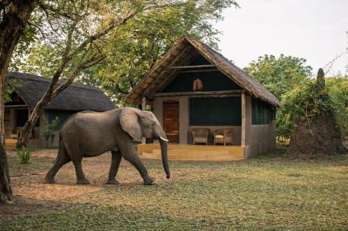 Kakumbi Cabin | Thornicroft Lodge - South Luangwa