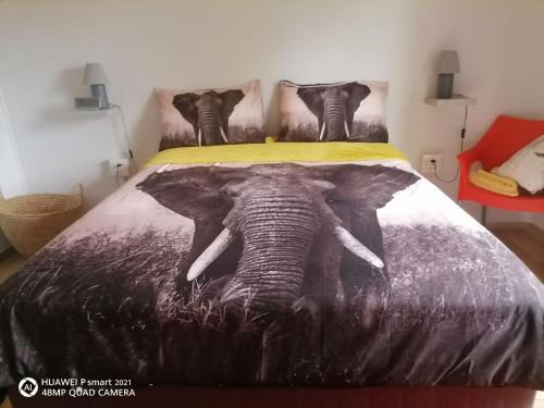 Victoria Falls House | Victoria Falls African Guest House