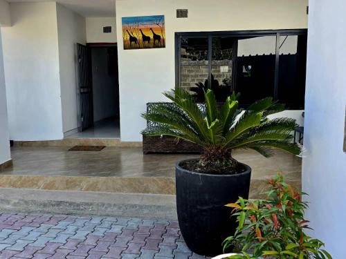 Kitwe Apartment | Zachi Zebra Apartment