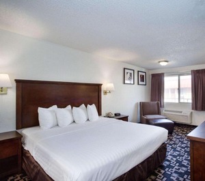 Morningglory Inn 