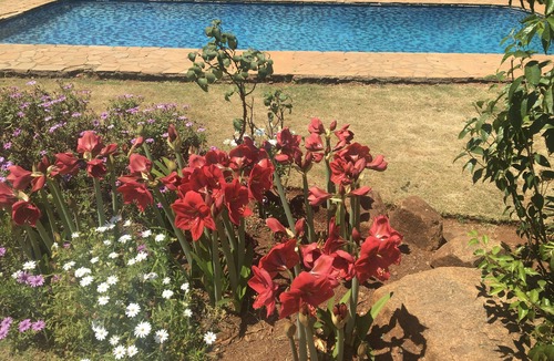 Harare East House | 2 BEDROOM EXECUTIVE & HOLIDAY LUXURY SUBURBAN HOME.
