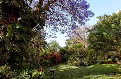 Harare House | 3BR Vacation Home Amidst Lush Garden. Perfect for family.