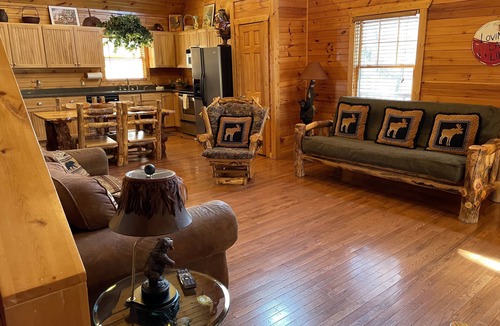 Hiawassee Cabin | Big Nate Cabin on Lake with Water Trampoline