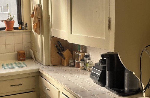 South Berkeley Apartment | Bright Berkeley Studio Apartment near Downtown