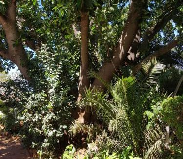 Bulawayo Bed & Breakfast | Burnham Road Suite Guest House