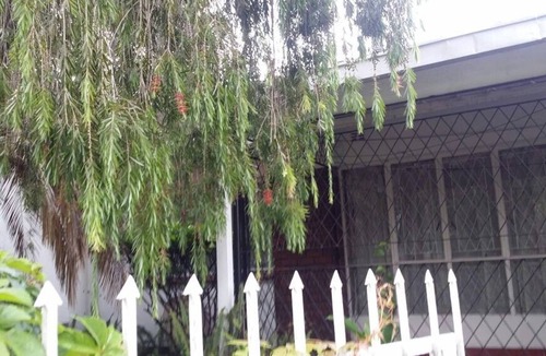 Harare Cottage | Candy's cottage, Villa Monaco