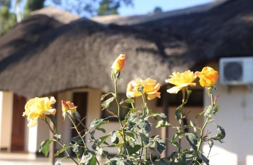 Mbare West Hotel | Cassa di Riverstone
