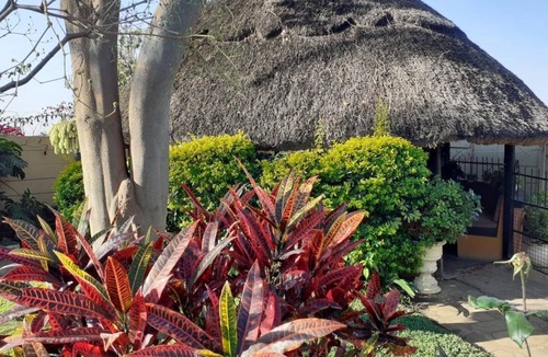 Harare House | Charming 6-bed House With Swimming Pool in Harare