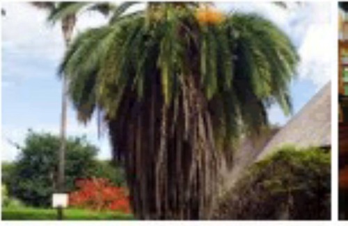 Harare East Cabin | Chipembere One bedroom one bathroom