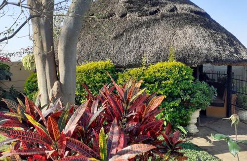 Harare House | Cottage Sleeps 4 with Pool