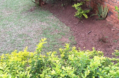 Harare Apartment | Cozy 1-bedroom apartment in pleasant Harare with wifi, solar and water backup