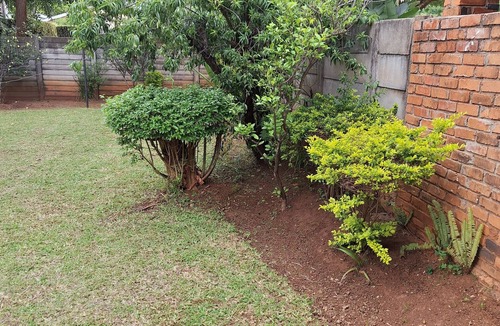 Harare Apartment | Cozy 1-bedroom apartment in pleasant Harare with wifi, solar and water backup