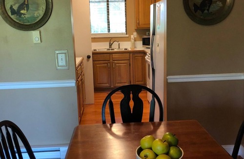 Sapphire Condo | Cozy Condo in Sapphire NC