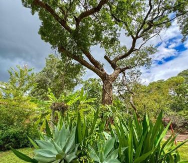 Harare East Apartment | Cozy Ensuite by the Pool near Sam Levys