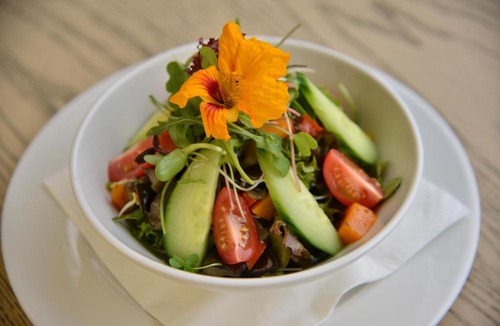 Harare East Hotel | Cresta Lodge Harare