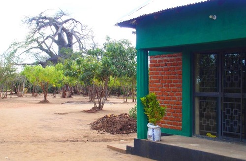 Kakumbi Cabin | Dewclaw Baobab Safari Lodge
