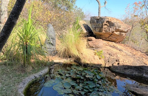 Bulawayo Apartment | Double Lodge in Natural African Bush - 2112