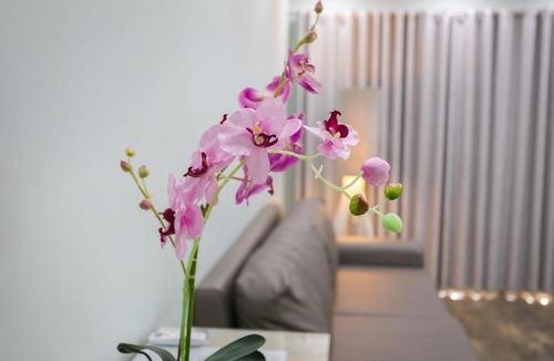 Lusaka Central Apartment | Fallsway Suites