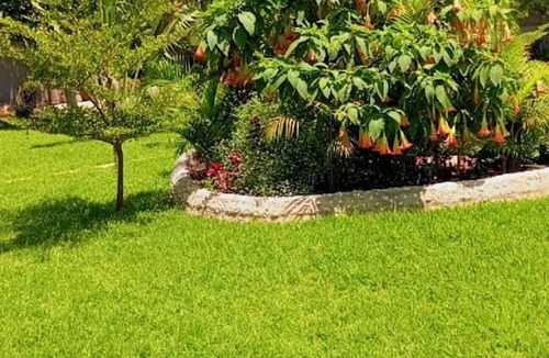 Kwekwe Apartment | Gaison Gardens Room 2 Golden Acres Comfort Stay - 2324