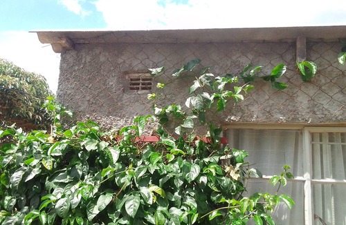 Chitungwiza Bed & Breakfast | Garden Guest House Bed & Bre Chitungwiza