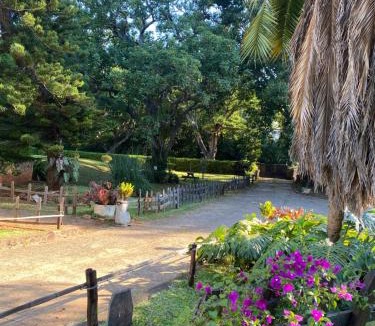 Mutare Bed & Breakfast | Green Whisper BnB