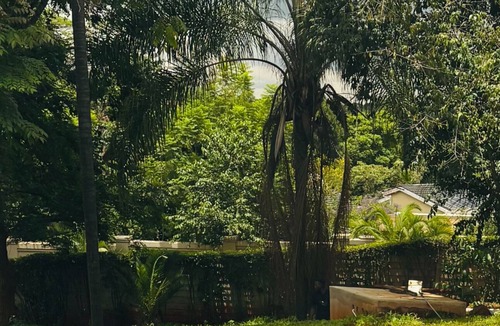 Harare East House | Greystone Park luxury home