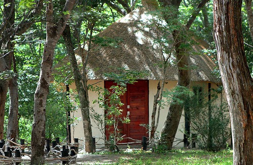 Dete Cabin | Gwango Elephant Lodge