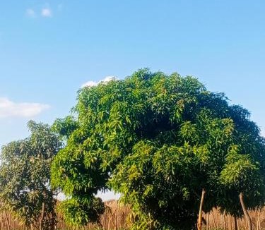 Kabwe House | Hope Lodge Kabwe