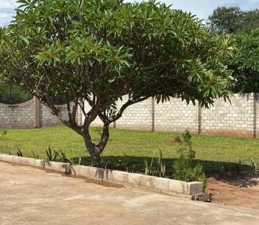 Livingstone Apartment | Juisha Comfort Apartments