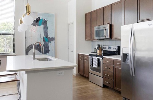 Downtown San Antonio Apartment | Landing Apartments - Agave