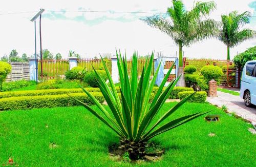 Harare Bed & Breakfast | Lion Haven Guest House