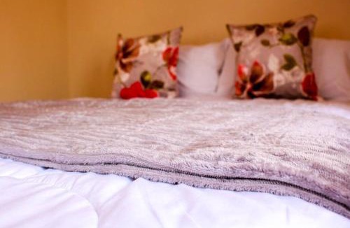 Harare Apartment | Little Oasis Self Catering Cottage